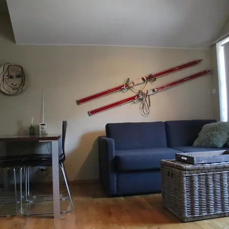 公寓 Myrkdalen Resort- *