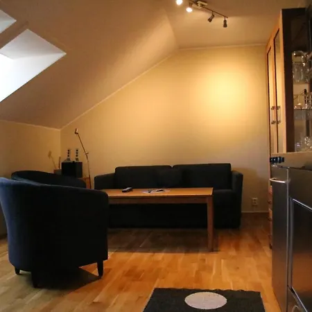公寓 Myrkdalen Resort-
