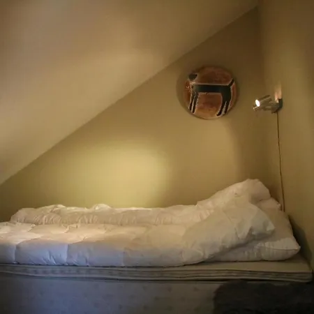 公寓 Myrkdalen Resort- *